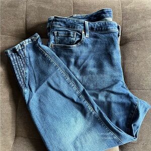 Lane Bryant Blue Denim Jeans size 24W